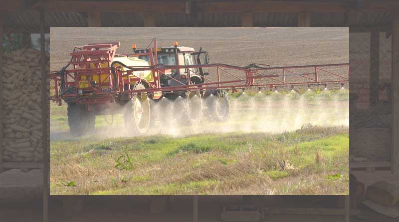 Glyphosate: no critical areas of concern; data gaps identified