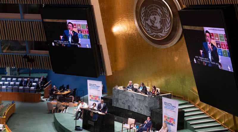 At HLPF in New York, Director-General outlines six actions needed to transform agrifood systems