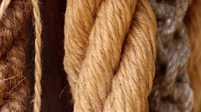 What is NINFET Sathi: Accelerated Retting Technology of Jute