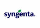 Syngenta India launches new insecticides Incipio and Simodis for paddy, cotton, and vegetable farmers in India