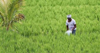 Central Government prohibits export of Non-Basmati White Rice; Small & marginal farmers to be impacted