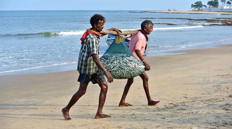 More crop per drop – in Indian Fisheries – Need More Attention to Guardrails