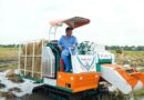 Showcasing rice straw innovations for farmers in Vietnam’s Mekong River Delta