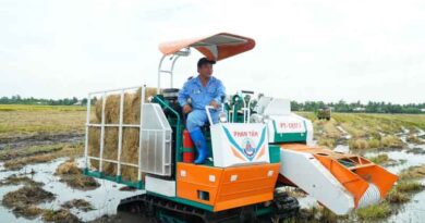 Showcasing rice straw innovations for farmers in Vietnam’s Mekong River Delta