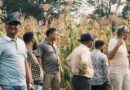 Evaluation and Planning Workshop on Transforming Agrifood Systems in South Asia (TAFSSA)