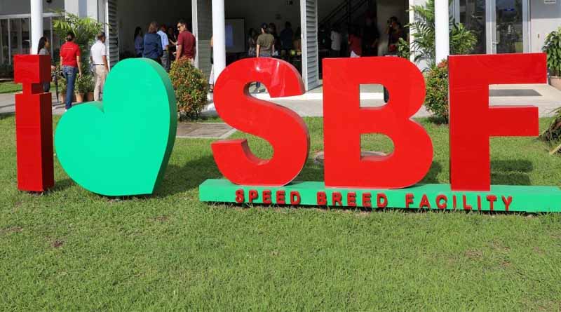 Speed Breed Facility Inauguration Ceremony Marks Milestone at International Rice Research Institute