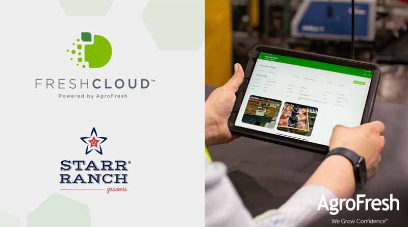 Starr Ranch Growers Share the Benefits of AgroFresh’s Digital Platform