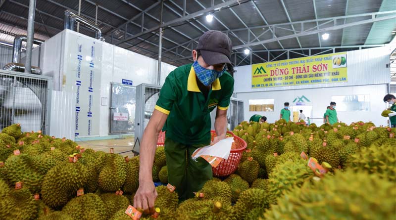 In seven months, agricultural exports reach roughly USD 30 billion