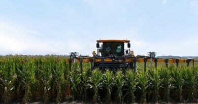 Gene Editing: Pairwise and Bayer start new five-year multi-million Dollar collaboration to further advance short-stature corn