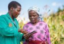 CABI and EWS-KT join hands to improve information accessibility in agriculture