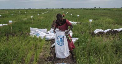 South Sudan: FAO intensifies efforts to increase resilience of agrifood systems to threats and crises