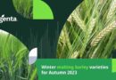Winter malting barley – choosing the variety that’s right for you