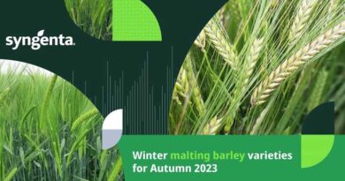 Winter malting barley – choosing the variety that’s right for you