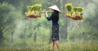 Bonn Climate Change Conference 2023 – On the road to COP28: What are the implications for agriculture and smallholder farmers?
