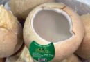 Opening the US market for Vietnamese skull coconut product