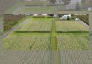 Carbon positive - a six-year trial of regenerative cropping