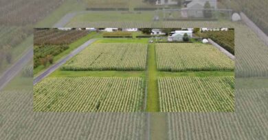 Carbon positive - a six-year trial of regenerative cropping