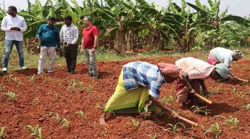 Revolutionizing crop protection: Success of a novel approach to combatting fall armyworm in India