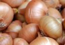 NCCF starts to sell onions at Rs 25 a kg from Monday; government increases buffer stock to 5 lakh tonnes