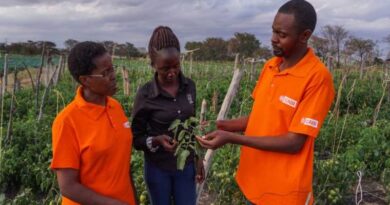 Mitigating pesticide risks for safer produce in Kenya: challenges and recommendations