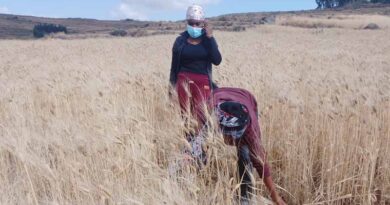 Transforming Ethiopia’s Agriculture Through Agronomy Innovation: The Landscape Segmented Fertilizer Advisory