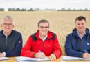 Germany kicks off a significant reduction of CO2 footprint in cereal crops