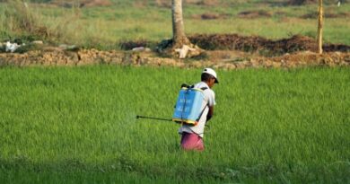 What is the Indian Government doing to reduce the use of chemical fertilizers?