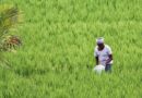 State-level review meeting of Agriculture Infrastructure Fund held in Haryana