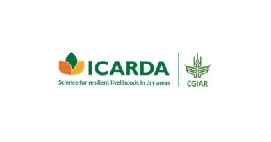 Terres Inovia, ICARDA, and French breeders join to broaden the genetic base of lentils and chickpeas