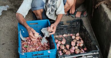 The Impending Impact of India's Onion Export Ban on Farmers and their Income