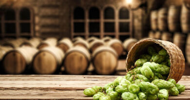 FAS Helps Brew Up Business for U.S. Hops Industry