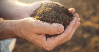Top Soil Science Journal Publishes Peer Reviewed Paper on Indigo Ag’s Carbon Quantification Model