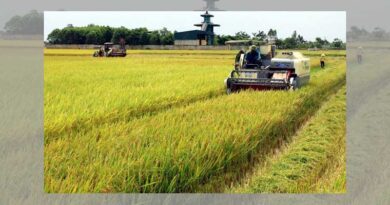 Agro – forestry and fishery exports decreased