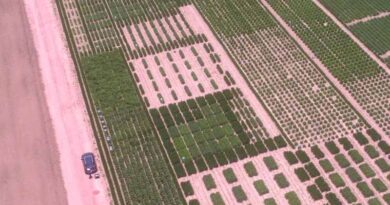 Harnessing new high-resolution satellite imagery to plant breeding