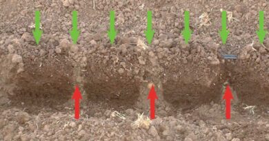 Benefits of close emitter drip spacing to seed germination and close planted seedlings