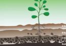 Soil characteristics that benefit from using close drip emitter spacing