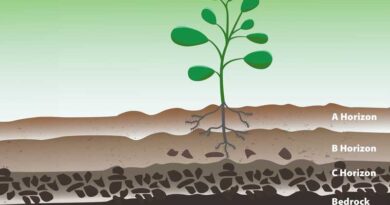 Soil characteristics that benefit from using close drip emitter spacing