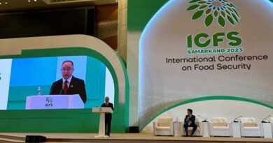 Vice Minister Wu Hongyao Attends International Conference on Food Security