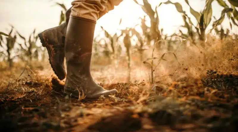 The importance of putting ourselves in farmers’ shoes