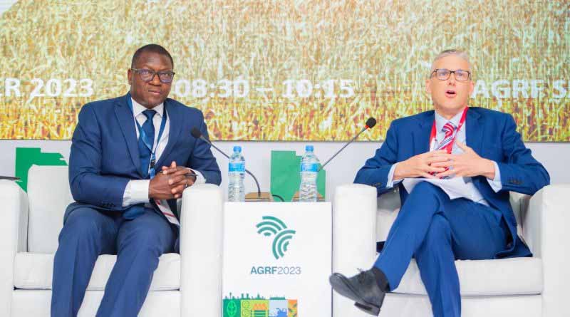 CABI highlights support for climate-resilient food systems at the Africa Food Systems Forum