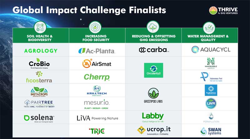 SVG Ventures|THRIVE Announces Global Impact Challenge Finalists!