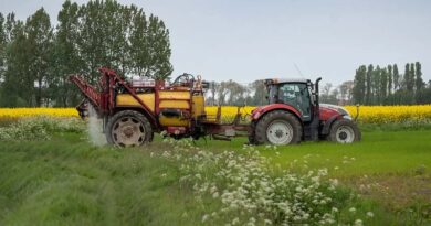 British Farmers and growers to be given continued access to crucial plant protection products