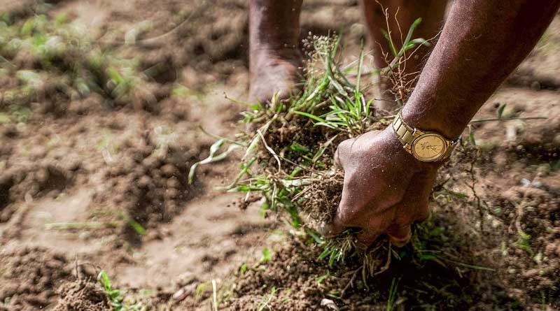CABI review aims to help strengthen national Soil Information Systems around the world