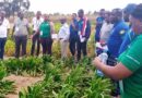 Strengthening Sanitary and Phytosanitary Systems in Burundi: A transformative training experience