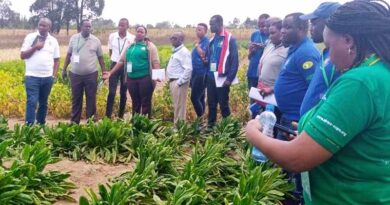 Strengthening Sanitary and Phytosanitary Systems in Burundi: A transformative training experience