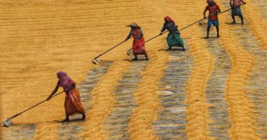 India Goes Global: A Prominent Force in Agriculture
