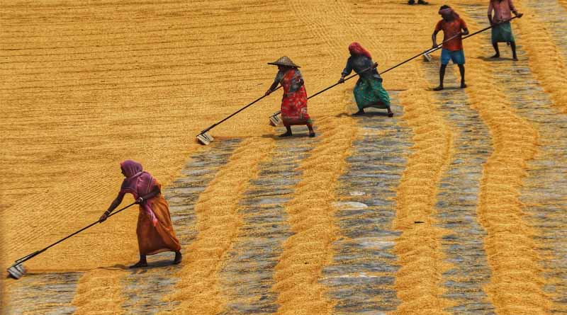 India Goes Global: A Prominent Force in Agriculture