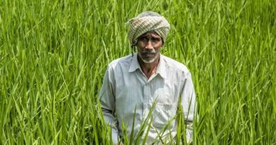 Indian Government released 23 new varieties of 13 crops for Madhya Pradesh Farmers