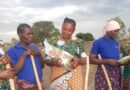Sorghum seed sales profit and empower rural women in Tanzania