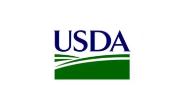 USDA Announces Early Release of Select Commodity Tables for Agricultural Projections to 2033